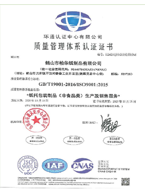 ISO9001 Certificate